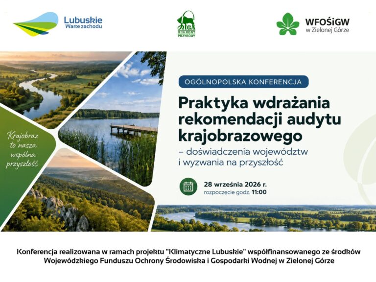 konferencja W ptk organizowana przez urząd marszałkowski